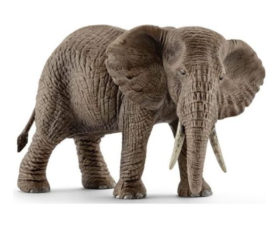 Figurka Schleich Samica słonia afrykańskiego Фигурки и герои