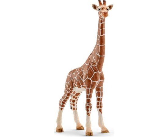 Figurka Schleich Samica żyrafy (14750) Фигурки и герои