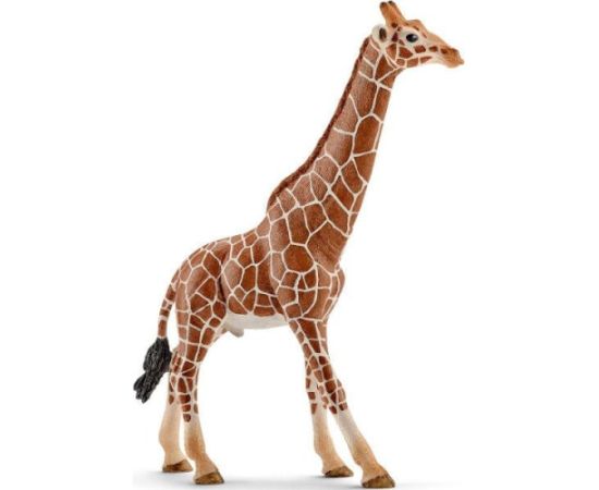 Figurka Schleich Samiec żyrafy (14749) Фигурки и герои