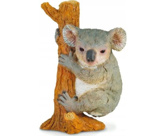 Figurka Collecta MIŚ KOALA WSPINAJĄCY SIĘ - CollectA - 88356 - M Фигурки и герои