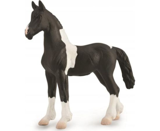 Figurka Collecta FIGURKA ŹREBIĘ BARCOCK PINTO - CollectA - 88893 - M Фигурки и герои