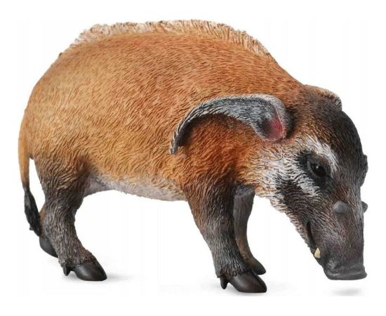 Figurka Collecta ŚWINIA RZECZNA - CollectA - 88554 - L Figūriņas un varoņi