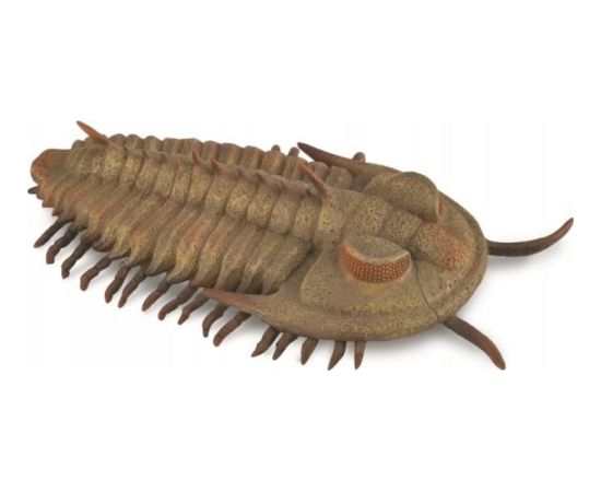 Figurka Collecta FIGURKA REDLICHIA REX TRYLOBIT - CollectA - 88906 - L Фигурки и герои