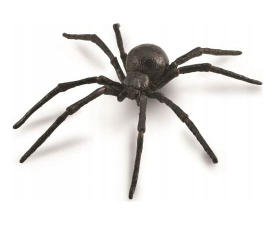 Figurka Collecta FIGURKA PAJĄK CZARNA WDOWA - CollectA - 88884 - L Figūriņas un varoņi