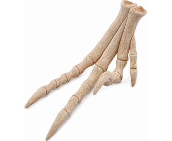 Figurka Collecta REPLIKA KOŃCZYNY VELOCIRAPTORA - CollectA - 89285 Фигурки и герои