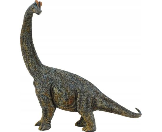 Figurka Collecta DINOZAUR BRACHIOZAUR - CollectA - 88405 - DELUX Figūriņas un varoņi