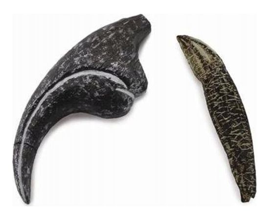 Figurka Collecta ZĄB I PAZUR ALLOZAURUSA - CollectA - 89288 Фигурки и герои