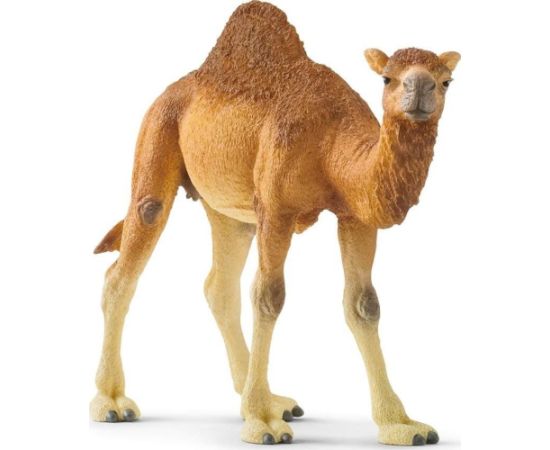 Figurka Schleich Wielbłąd Dromader Фигурки и герои