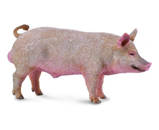 Figurka Collecta BOAR Фигурки и герои