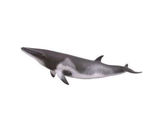 Figurka Collecta MINKE WHALE Фигурки и герои