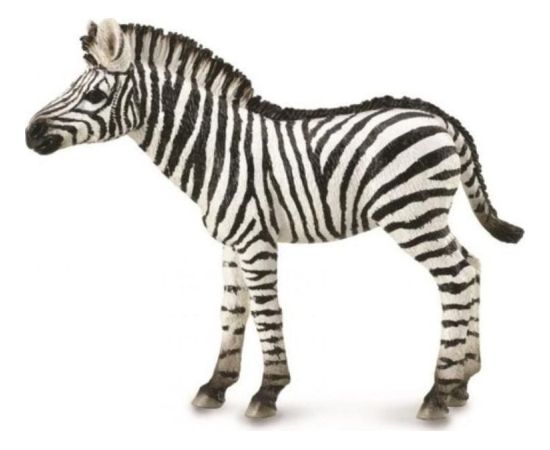 Figurka Collecta ZEBRA FOAL Фигурки и герои