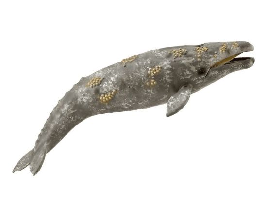 Figurka Collecta GRAY WHALE Figūriņas un varoņi
