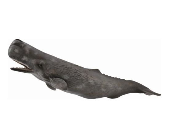 Figurka Collecta SPERM WHALE Figūriņas un varoņi