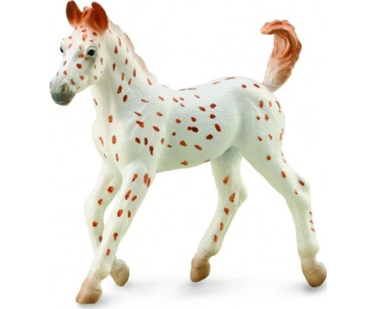 Figurka Collecta KOŃ KNABSTRUPPER FOAL Фигурки и герои