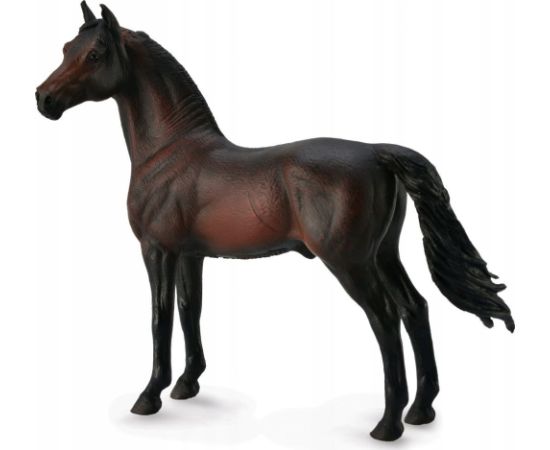 Figurka Collecta *KOŃ MORGAN STALLION -BAY Figūriņas un varoņi