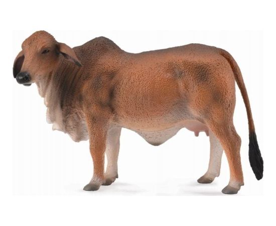 Figurka Collecta KROWA CZERWONA BRAHMAN Фигурки и герои