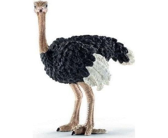 Figurka Collecta *STRUŚ Фигурки и герои