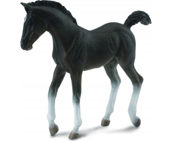 Figurka Collecta *ŹREBIĘ CZARNE SPACERUJĄCE Фигурки и герои