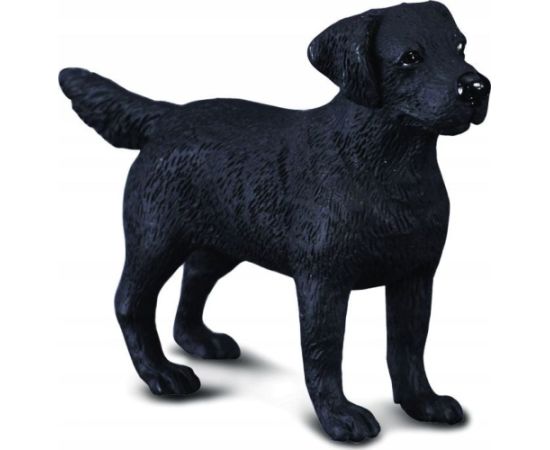 Figurka Collecta PIES LABRADOR (M) Фигурки и герои