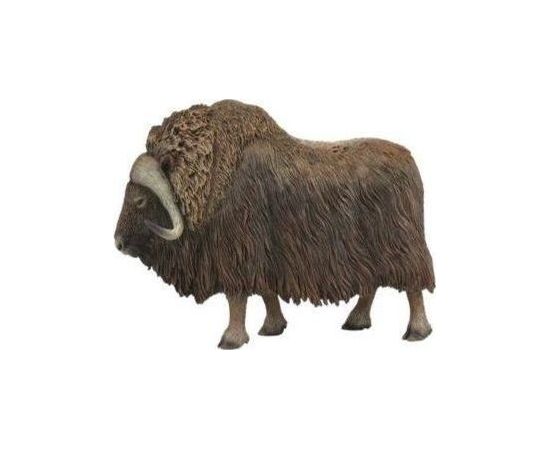 Figurka Collecta PIŻMOWÓŁ ARKTYCZNY Фигурки и герои