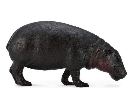 Figurka Collecta HIPOPOTAM KARŁOWATY Фигурки и герои