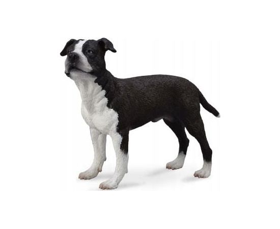Figurka Collecta PIES AMERICAN STAFFORDSHIRE TERRIER Фигурки и герои