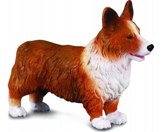 Figurka Collecta PIES WELSH CORGI (M) Фигурки и герои