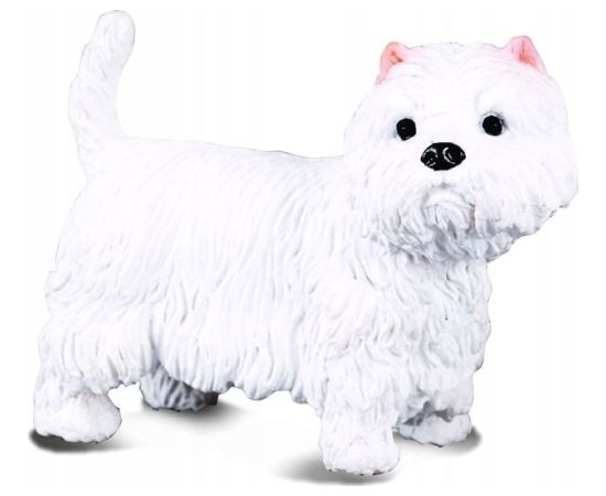 Figurka Collecta PIES TERIER WEST HIGLAND (M) Фигурки и герои