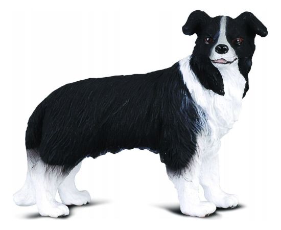 Figurka Collecta PIES BORDER KOLLIE (M) Фигурки и герои