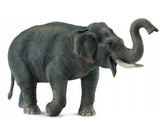 Figurka Collecta *SŁOŃ AZJATYCKI Figūriņas un varoņi