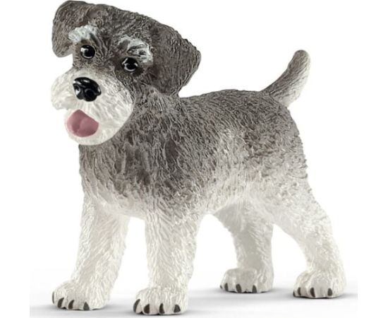 Figurka Schleich Figurka sznaucer miniaturowy (SLH 13892) Фигурки и герои