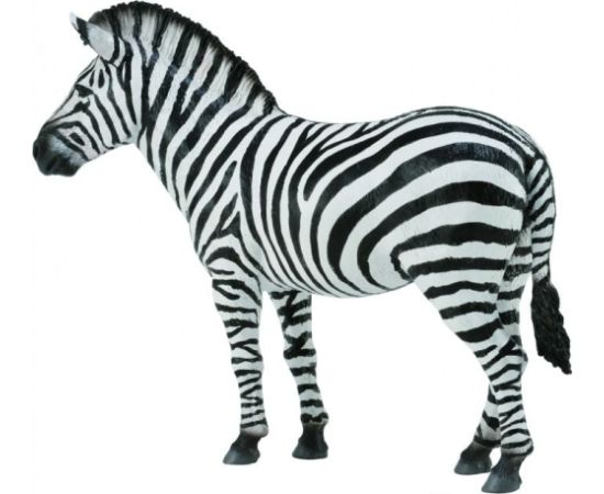 Figurka Collecta Zebra Common (004-88830) Figūriņas un varoņi