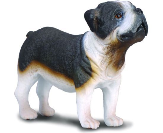 Figurka Collecta Pies rasy Buldog (004-88179) Фигурки и герои