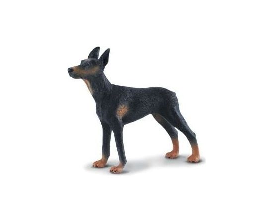 Figurka Collecta Pies Doberman (004-88086) Figūriņas un varoņi