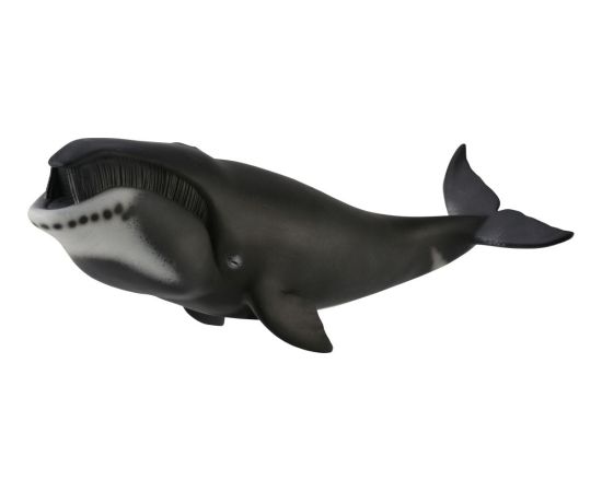 Figurka Collecta Wieloryb Grenlandzki (004-88652) Figūriņas un varoņi