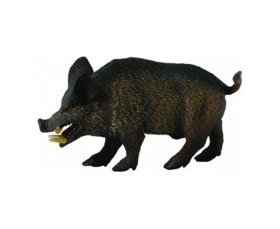 Figurka Collecta Dzik Odyniec (004-88363) Фигурки и герои