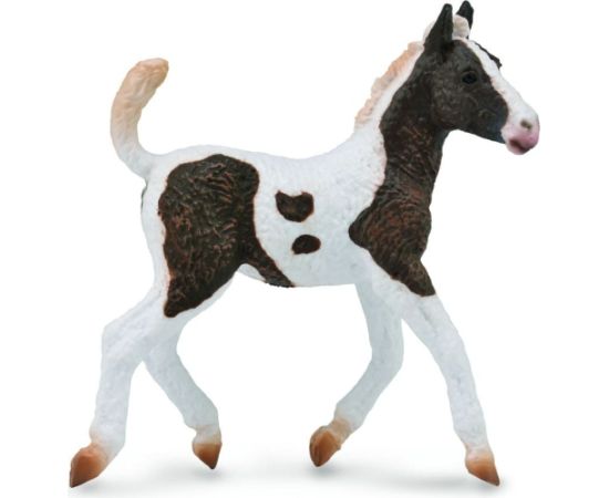 Figurka Collecta Żrebię rasy Bashkir Curly (004-88781) Фигурки и герои