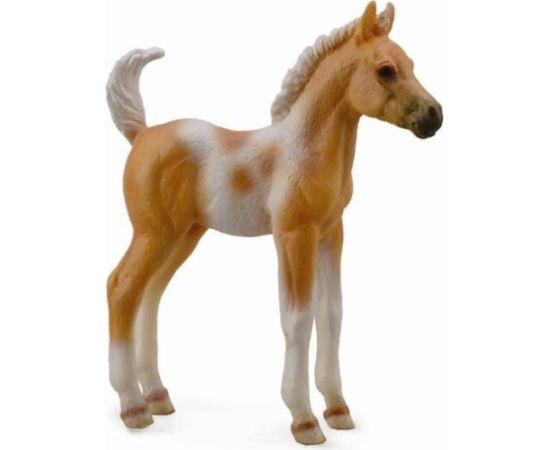 Figurka Collecta Źrebię Pinto Foal Palomino (004-88669) Фигурки и герои