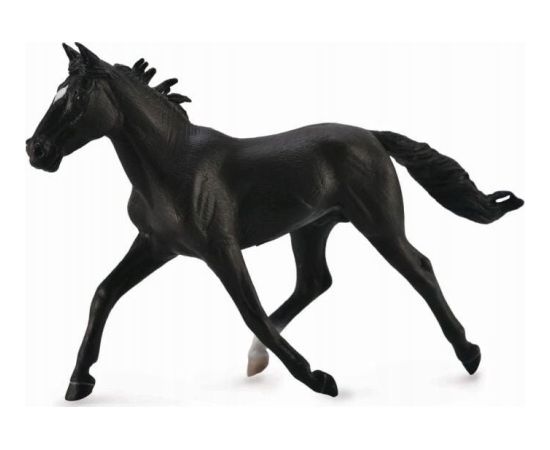Figurka Collecta KOŃ STANDARDBRED PACER STALLIN- BLACK Figūriņas un varoņi