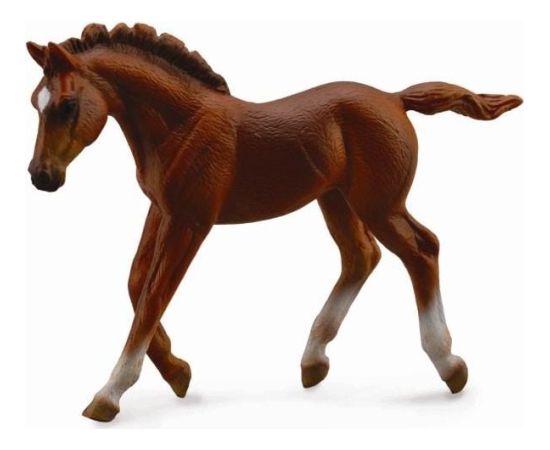 Figurka Collecta Źrebię Thorughbred Foal Chesnut (004-88670) Figūriņas un varoņi