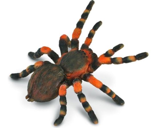 Figurka Collecta Ptasznik Czerwonokolanowy (004-88338) Figūriņas un varoņi