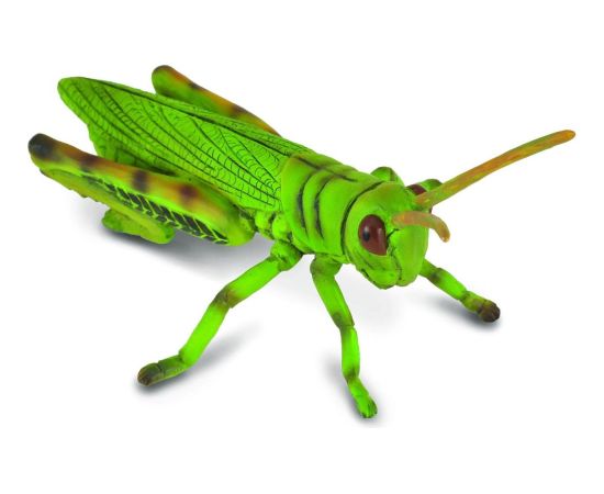 Figurka Collecta Konik polny (004-88352) Фигурки и герои