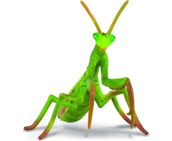 Figurka Collecta Modliszka (004-88351) Figūriņas un varoņi