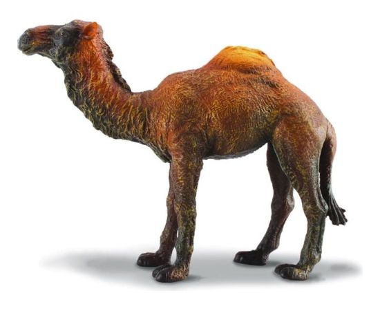 Figurka Collecta Wielbłąd Jednogarbny (004-88208) Figūriņas un varoņi