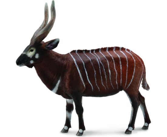 Figurka Collecta Antylopa Bongo (004-88809) Figūriņas un varoņi