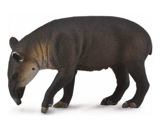 Figurka Collecta Tapir - cielę Bairda (004-88596) Figūriņas un varoņi