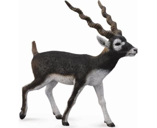 Figurka Collecta Antylopa Blackbuck (004-88638) Figūriņas un varoņi