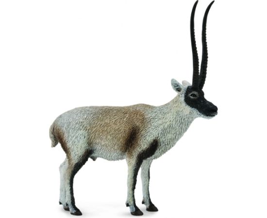 Figurka Collecta Cziru - Antylopa Tybetańska (004-88721) Figūriņas un varoņi