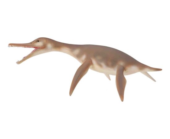 Figurka Collecta Dinozaur Dolichorhynchops (004-88520) Фигурки и герои