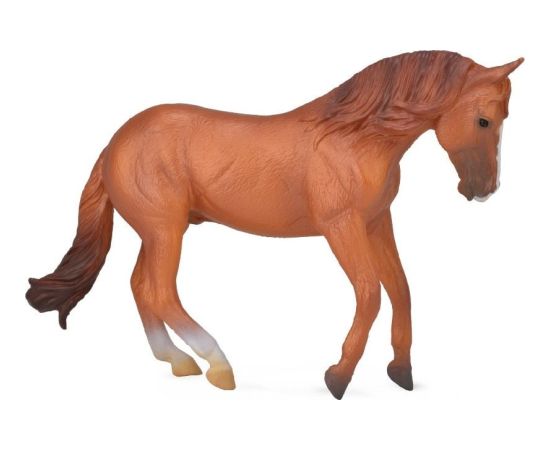 Figurka Collecta Ogier Australian Stock (004-88712) Figūriņas un varoņi